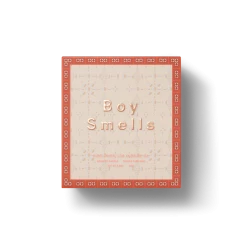 Port Northampton Boy Smells Holiday Collection 8.5 Oz Candles MAN