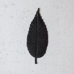 Port Northampton MAN HA KO Paper Leaf Incense - Black