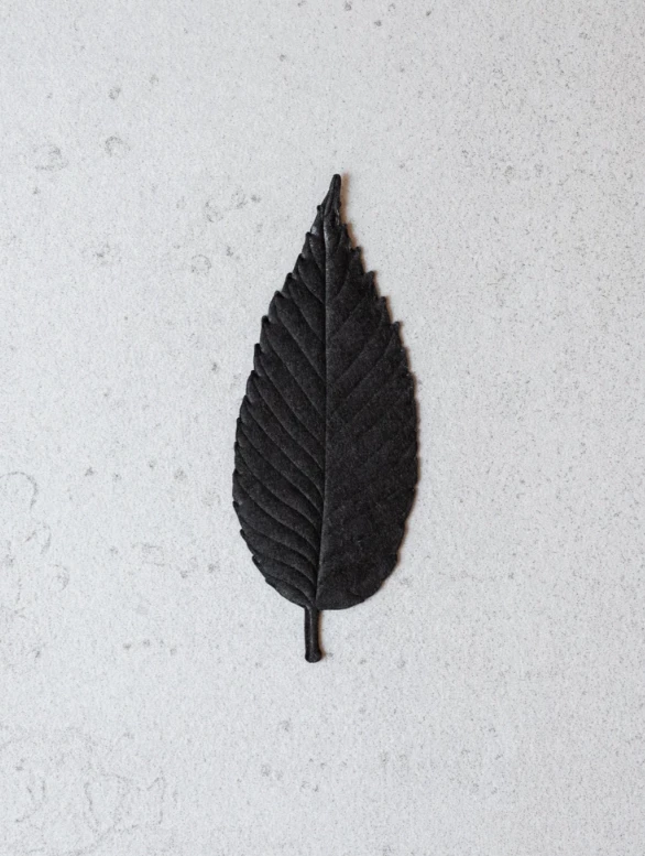 Best deal π€© Port Northampton MAN HA KO Paper Leaf Incense - Black π€© 2 Port Northampton MAN HA KO Paper Leaf Incense - Black